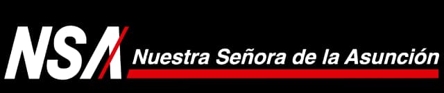 NSA Logo Footer